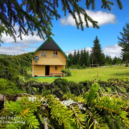Eco House Villa Zabljak  Exterior photo