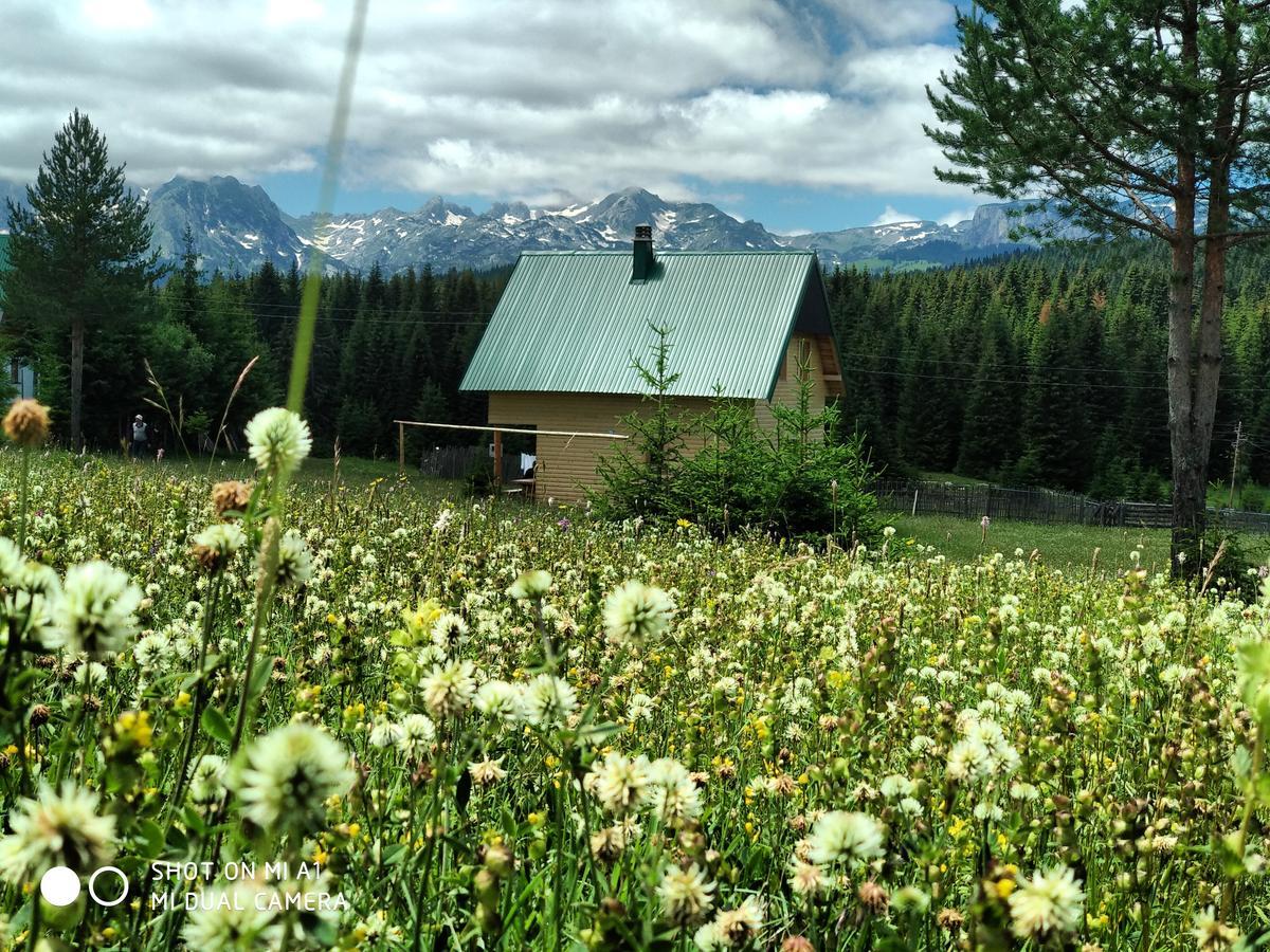 Eco House Villa Zabljak  Exterior photo